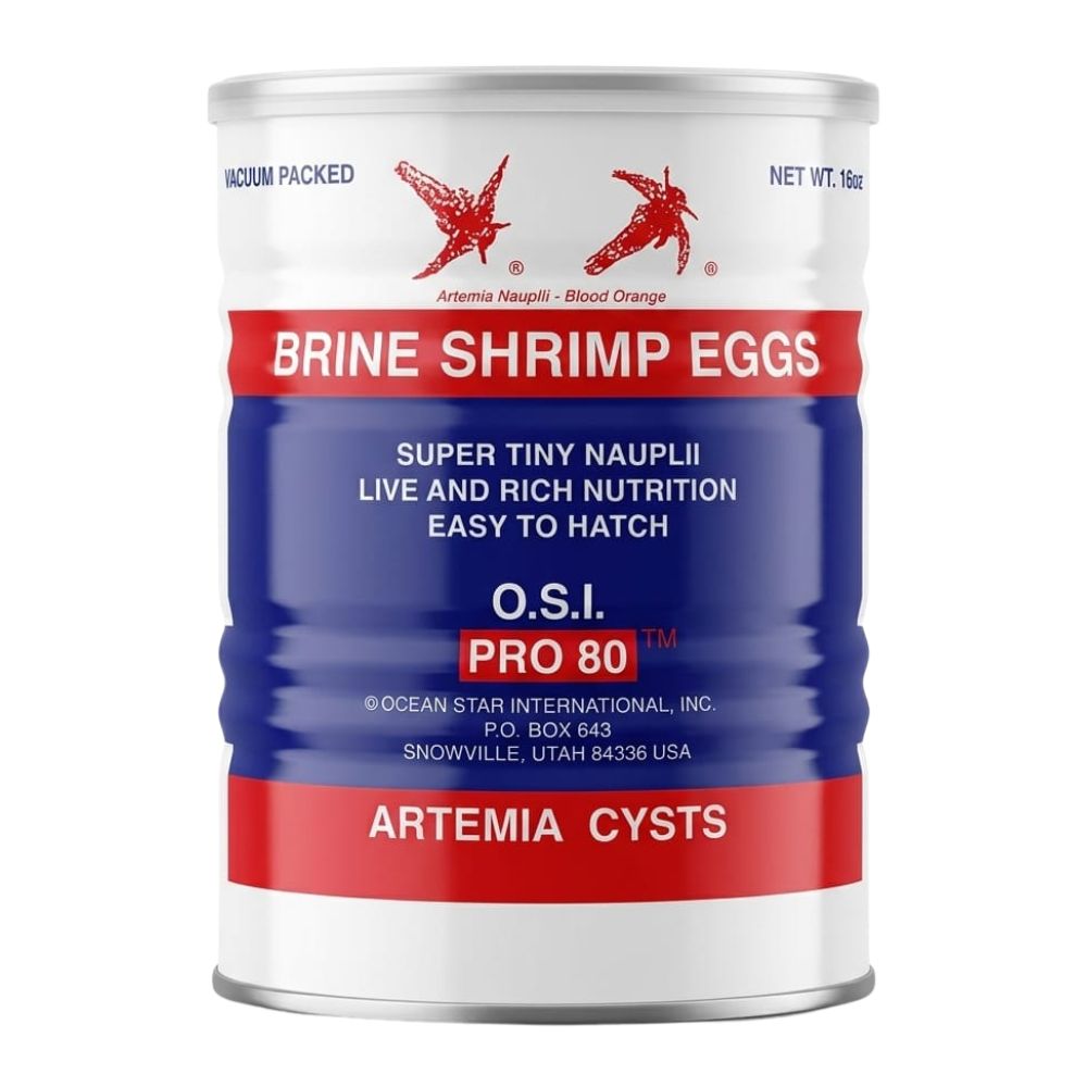 Brine Shrimp Eggs-O.S.I