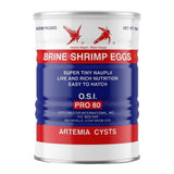 Brine Shrimp Eggs-O.S.I