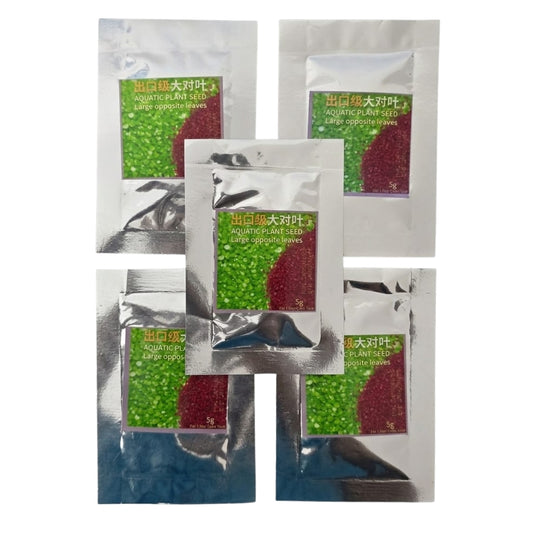 Large Opposite Leave 5g Aquatic Seeds