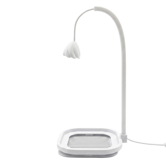 Rose Lamp Square