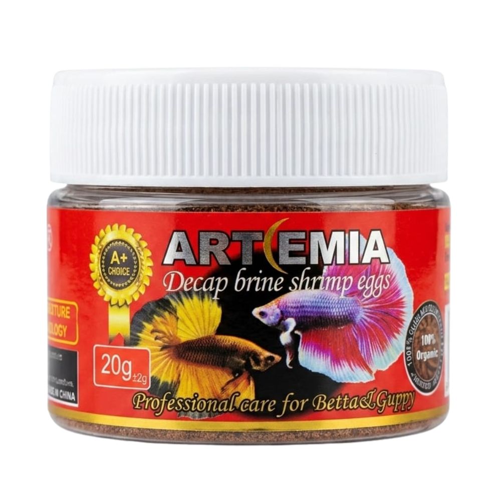 SISO-Artimea-20g