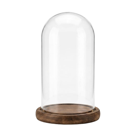 Terrarium Jar - Wooden Base