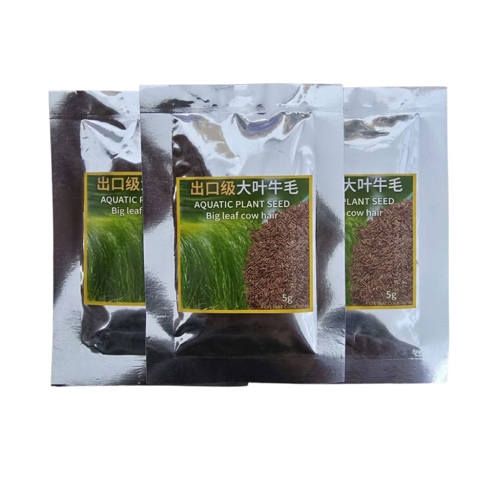 Big Leaf Cow Hair Aquatic Plant Seed