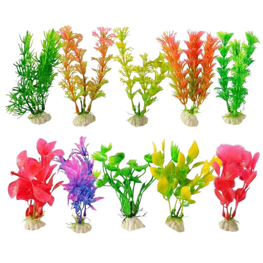 Plant 10cm (Model -4 inch Assorted)